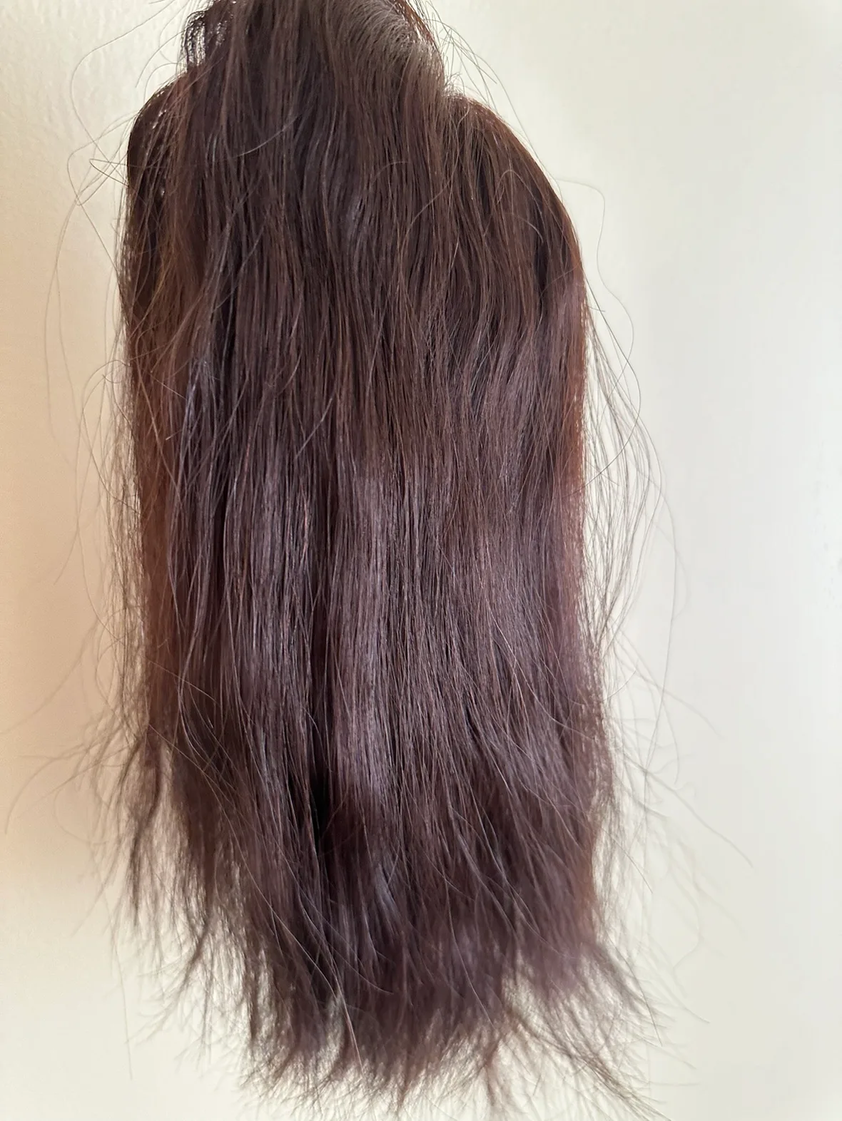 2 piecec Women's Wig Rene Of Paris image indicator(2)