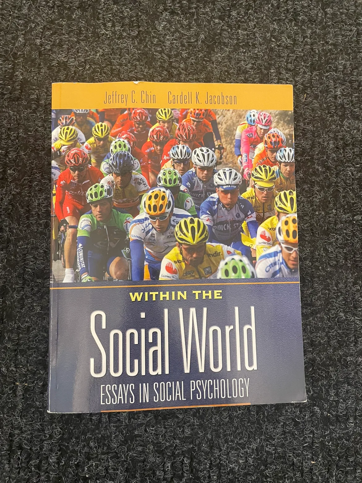 Within the Social World: Essays in Social Psychology thumbnail