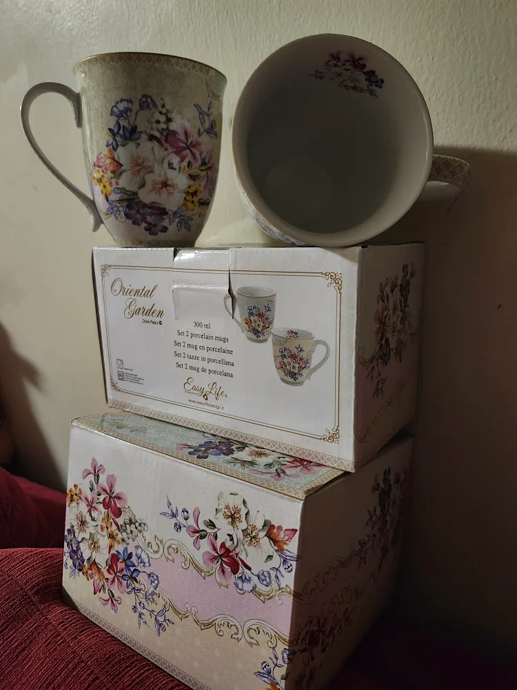 Oriental Garden Set of 2 Porcelain Mugs image indicator(3)