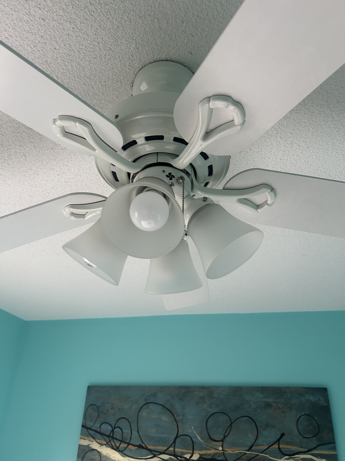 Ceiling Fan with Light