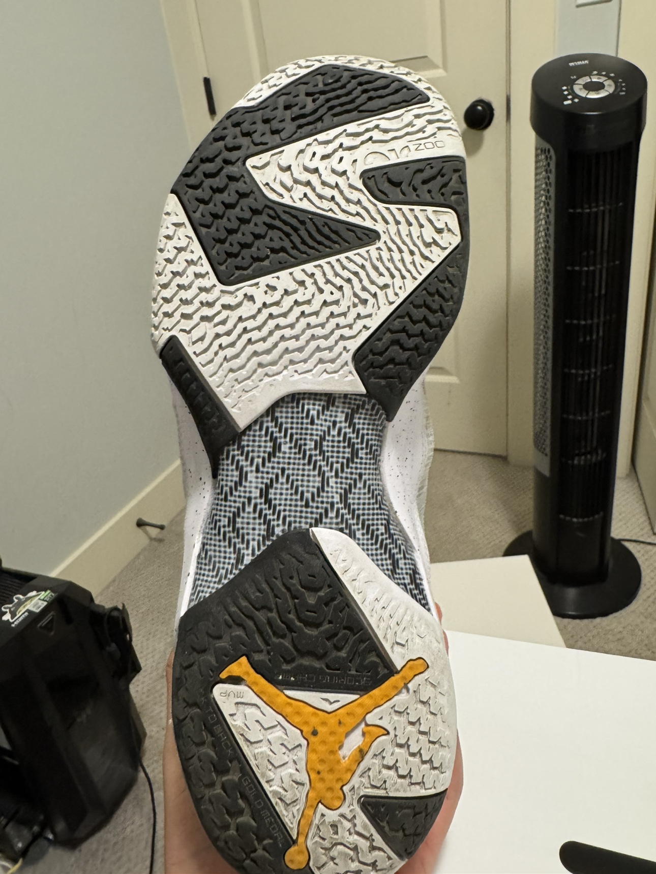 Air Jordan XXXIII