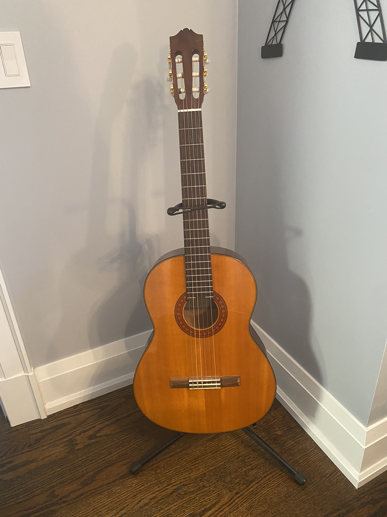 Guitar with stand