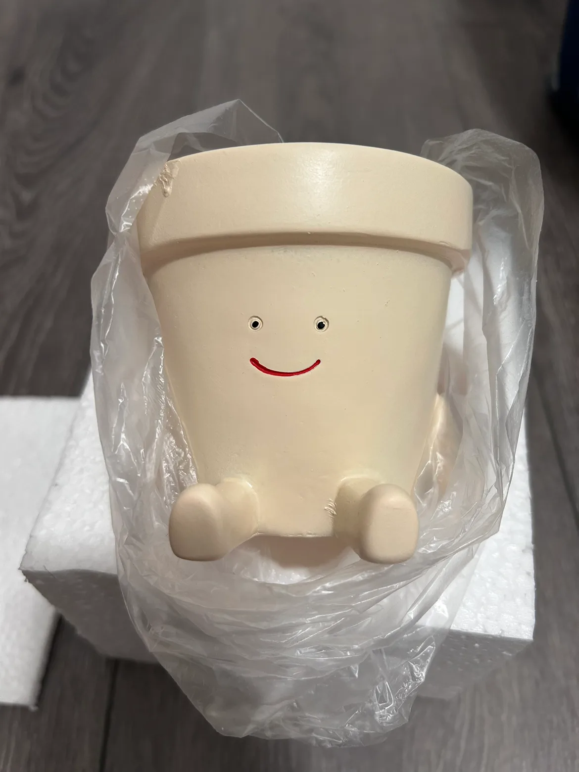 Cute Smiling Planter thumbnail