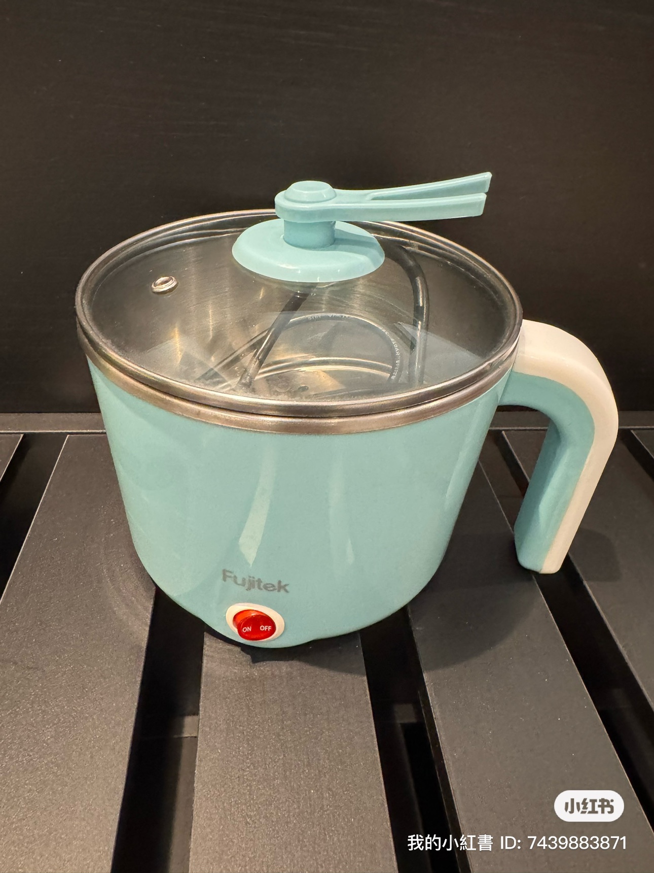 Fujitek Electric Mini Cooker