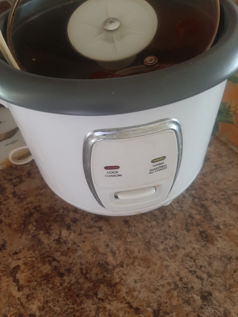 Small Rice Cooker
