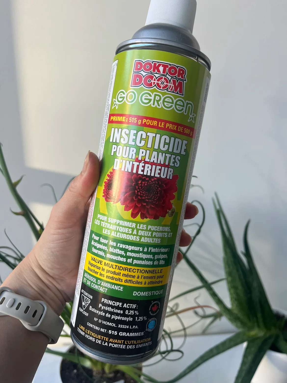 NEW Natural food safe pyrethrin insecticide 🪴#freecycle thumbnail