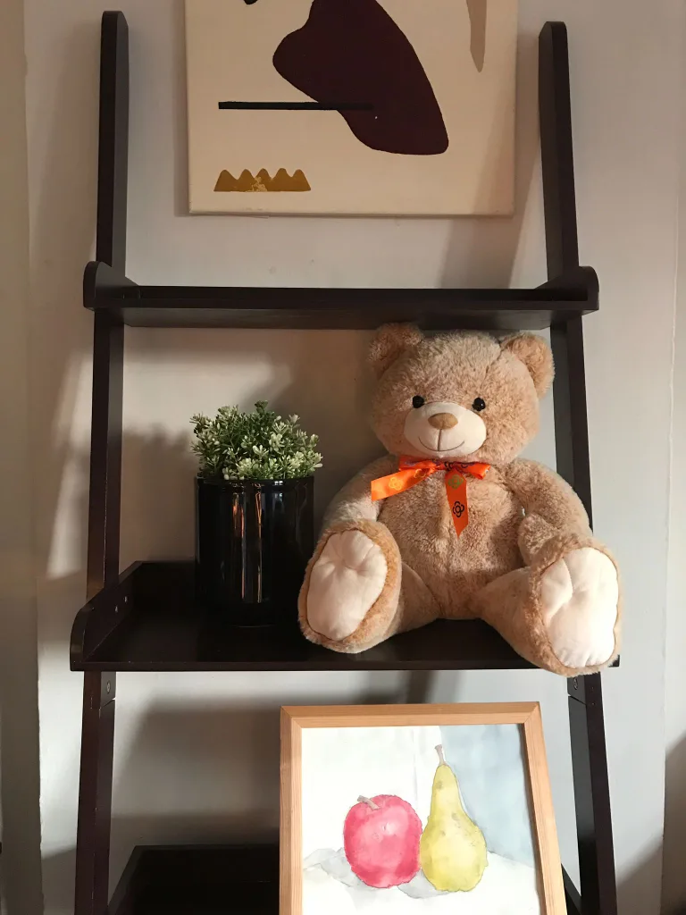 Ladder shelves image indicator(5)