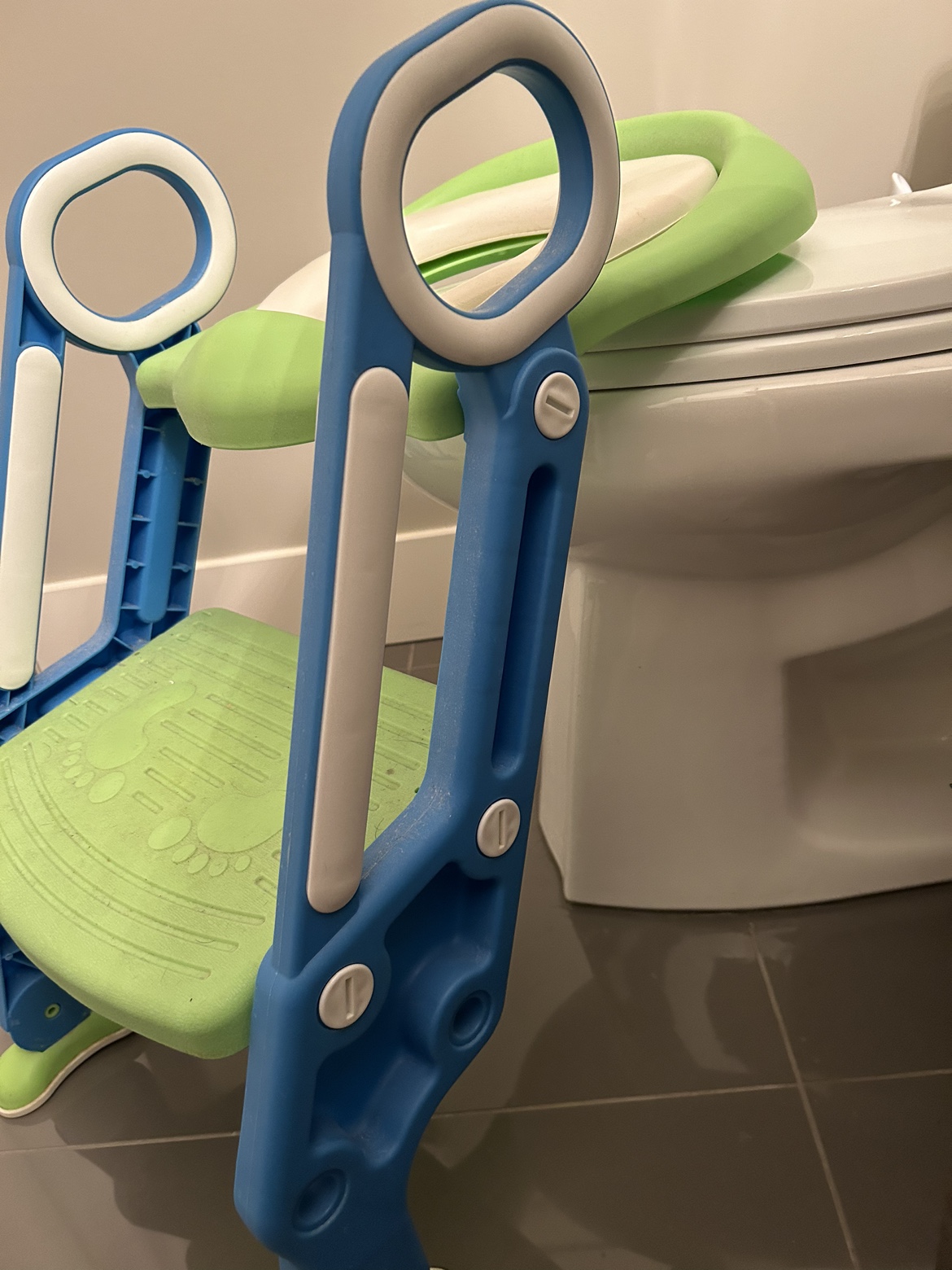 Toilet Training Seat and Step Stool