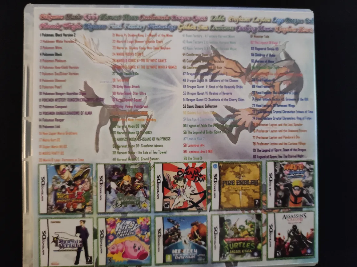 Nintendo DS 208-in-1 multi cart image indicator(2)