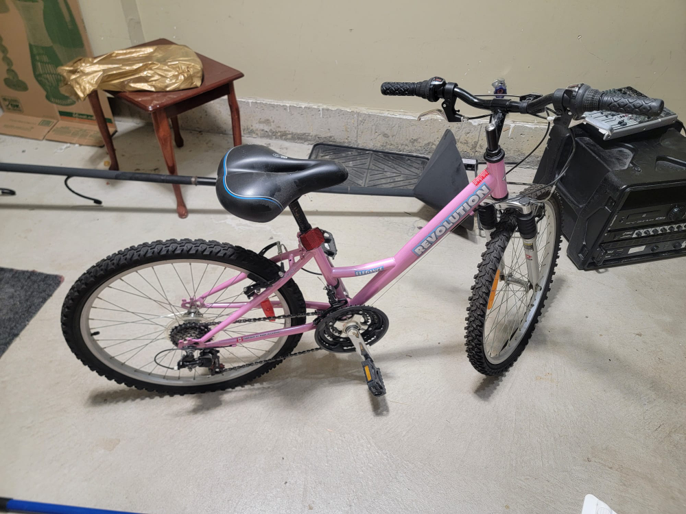 Female Bike - photo 3