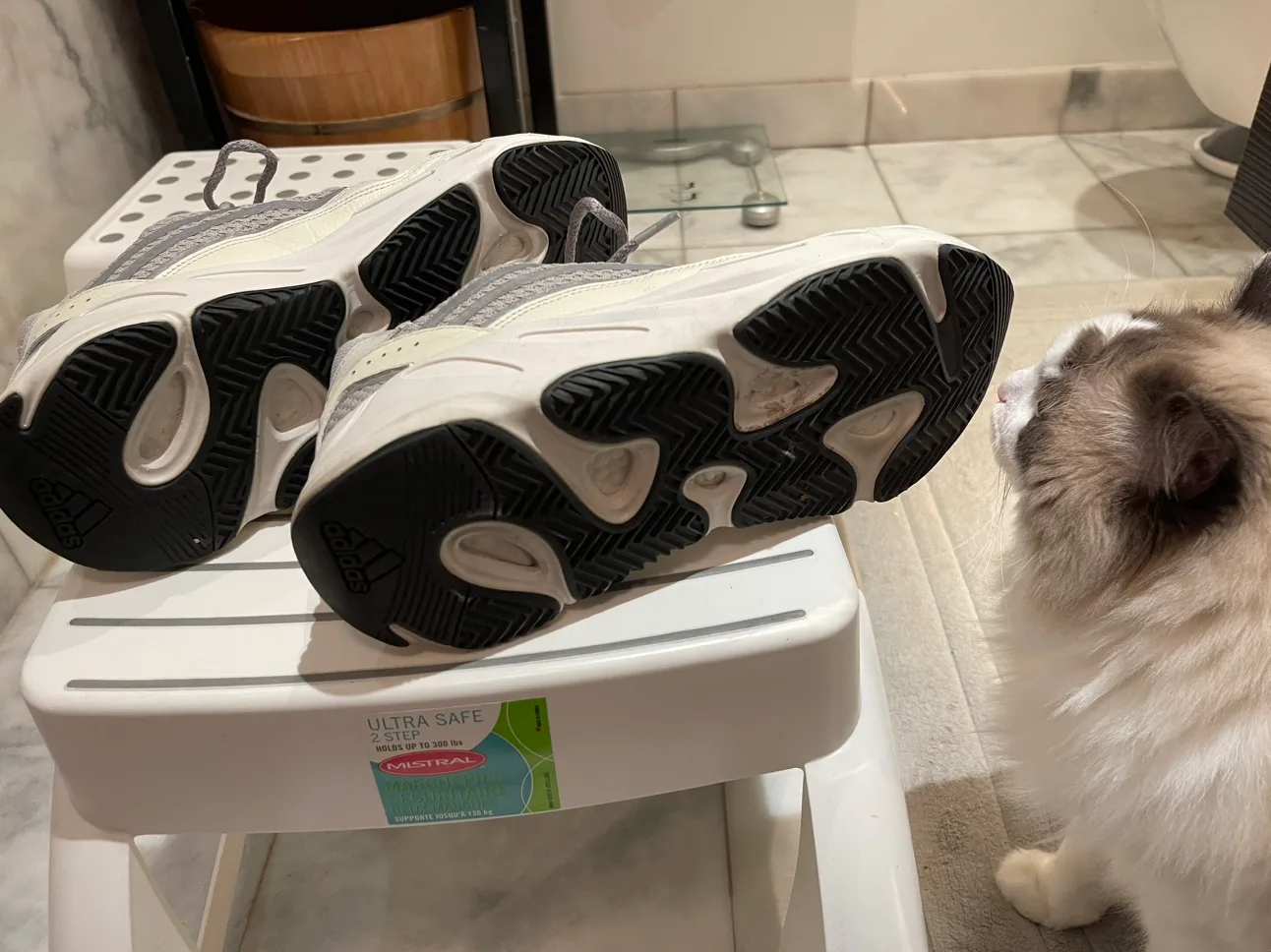 Yeezy 700 men size 9.5 image indicator(4)