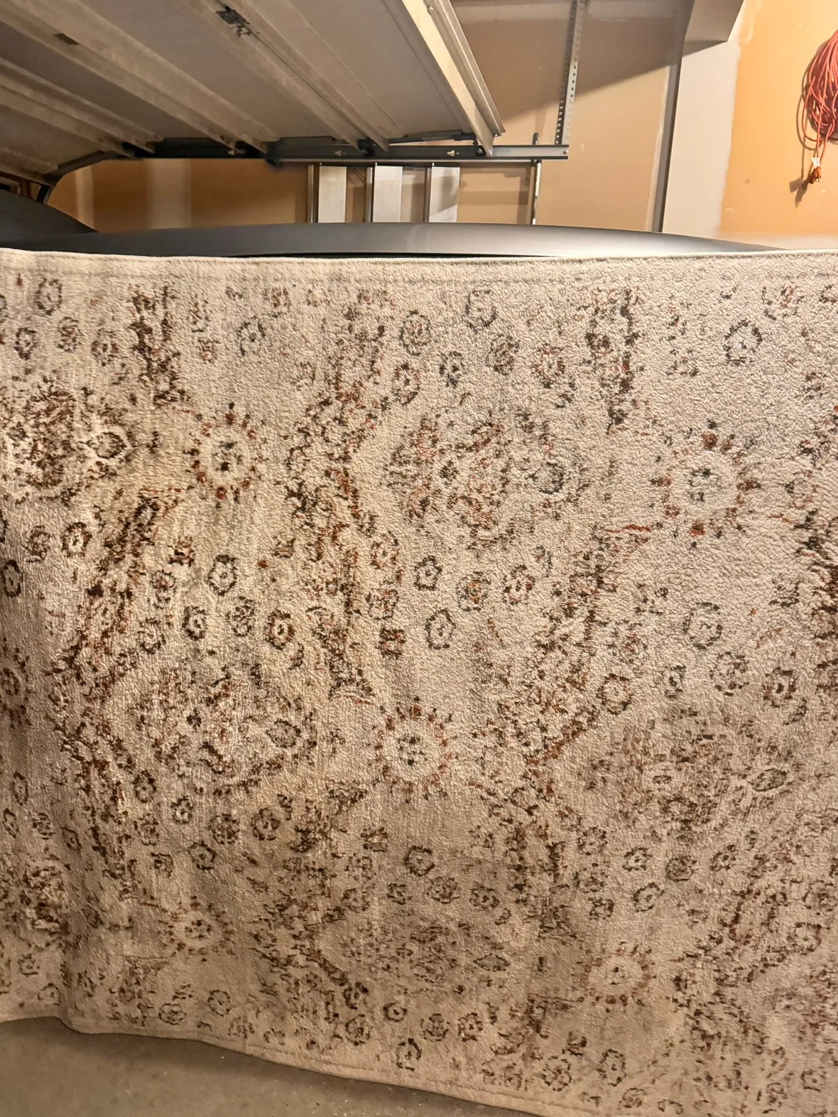 Large Area Rug thumbnail