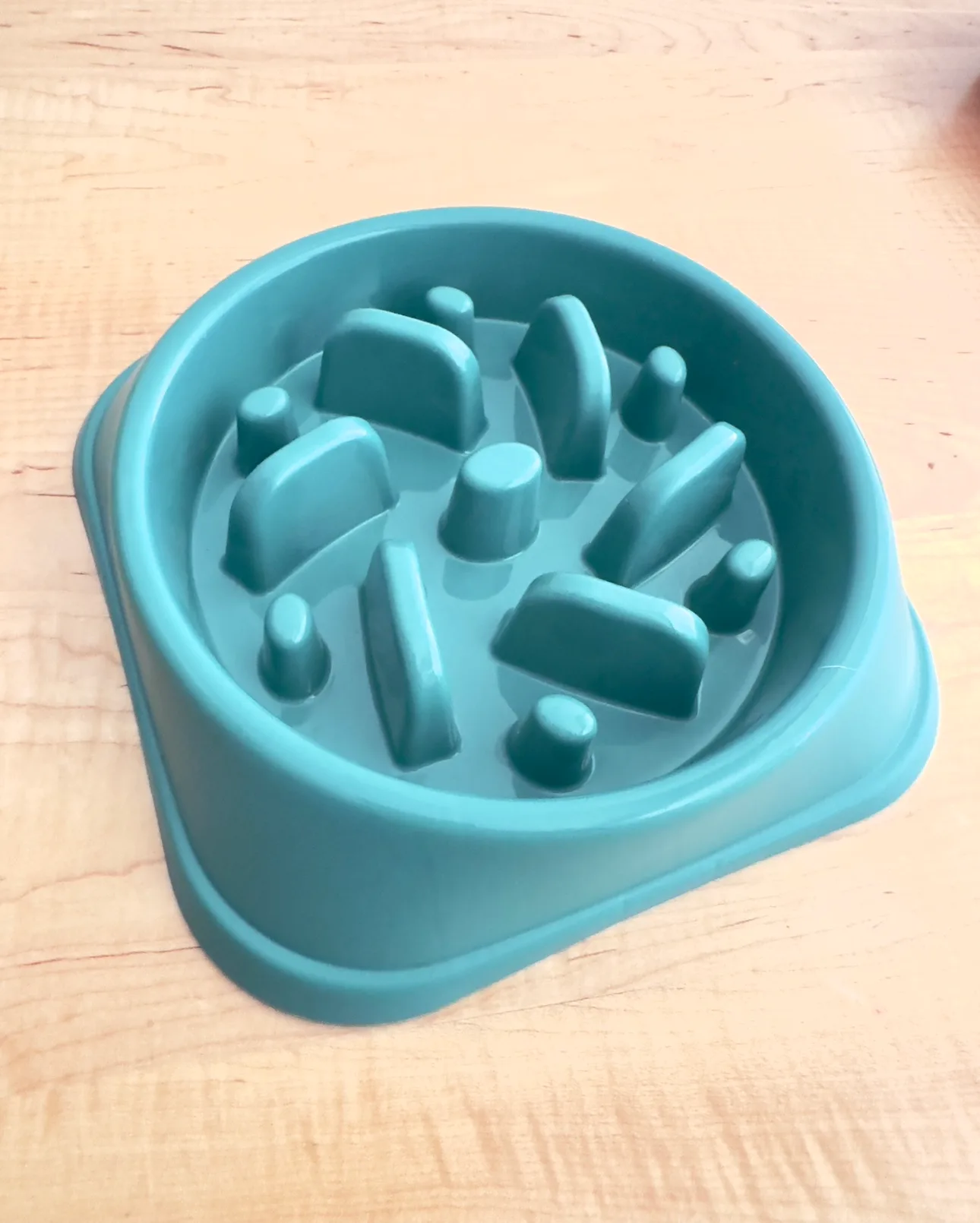 Slow Feeder Dog Bowl thumbnail