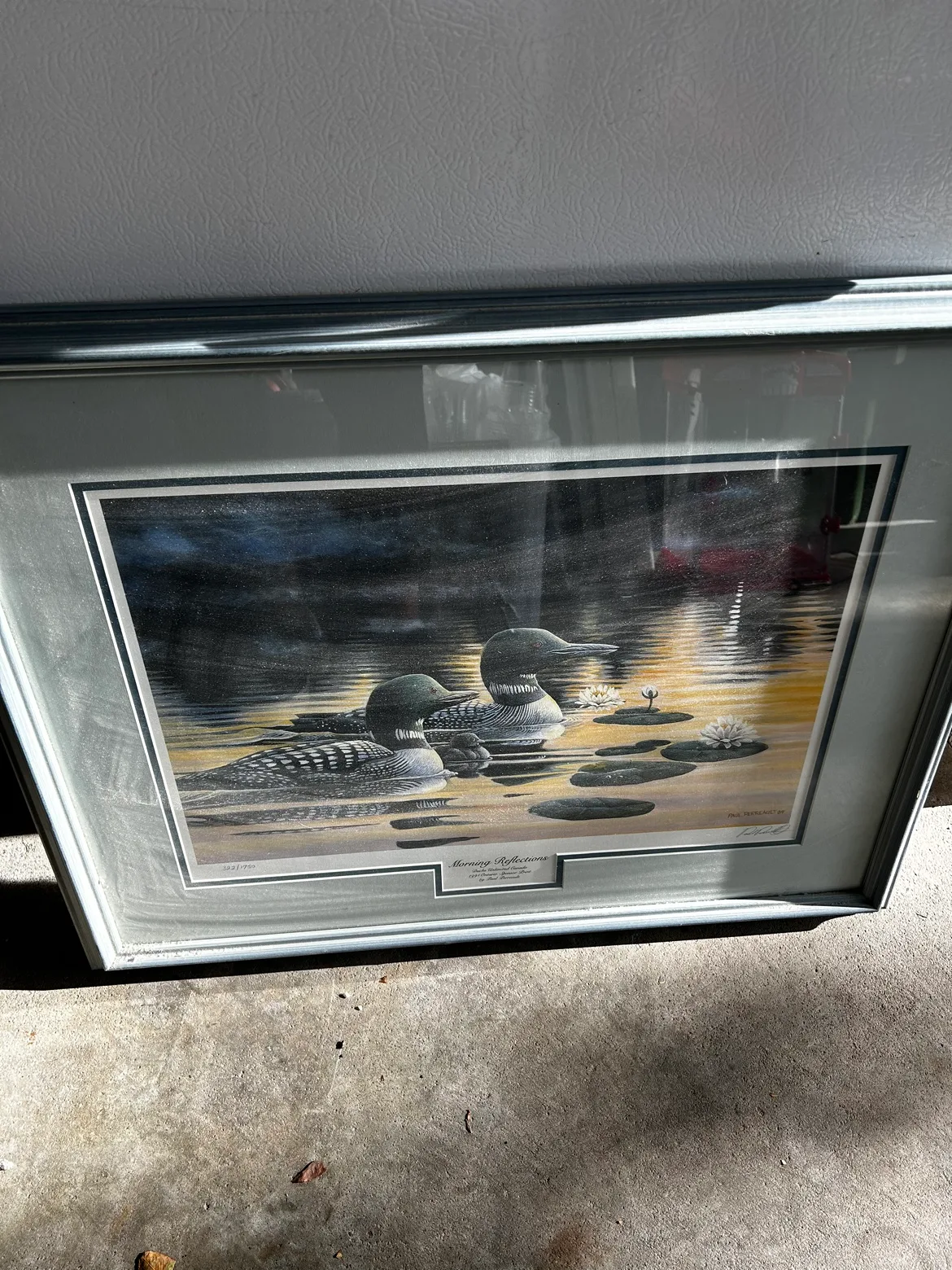 Paul Perrault - Morning Reflections Framed Print image indicator(7)