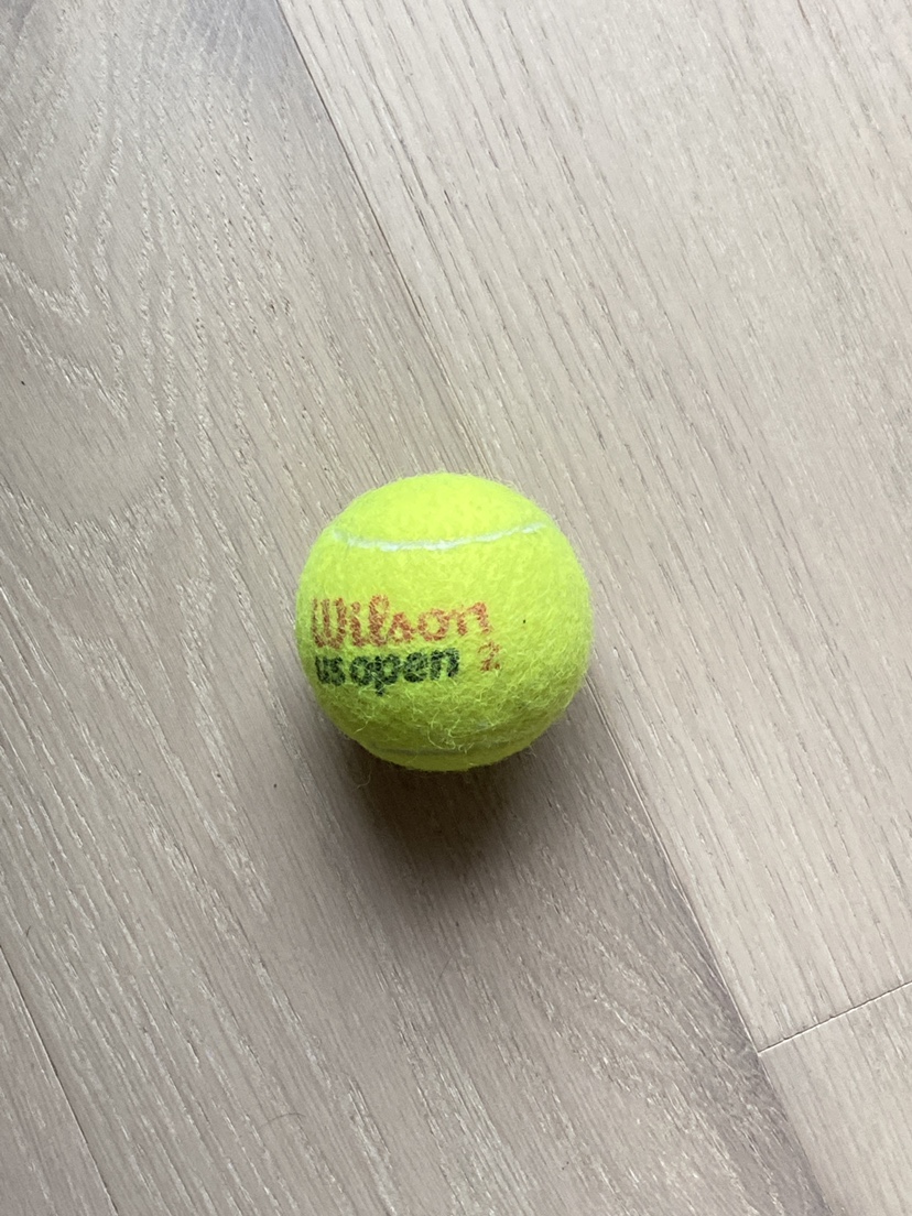 Wilson US Open Tennis Ball #freecycle