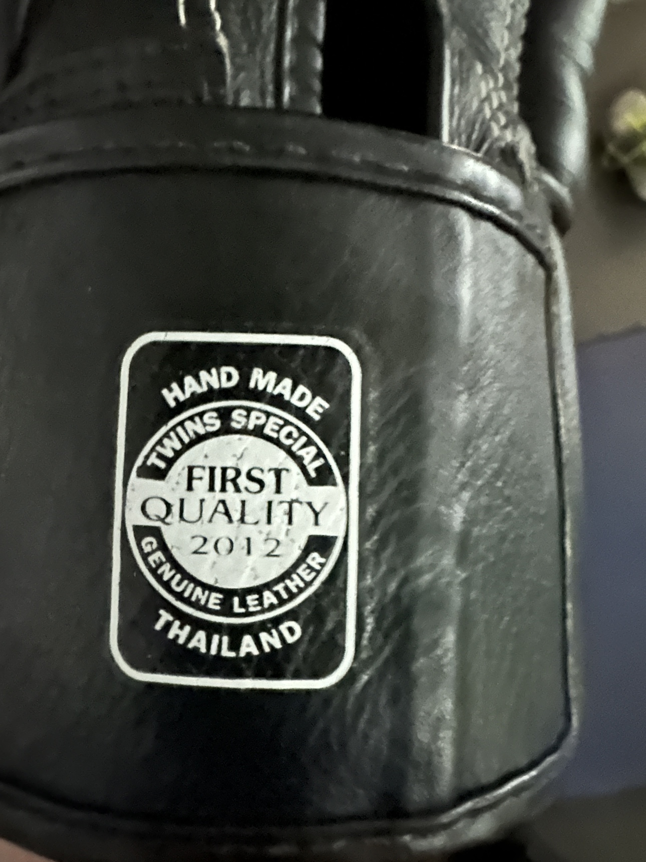Twins Special Boxing Gloves - photo 3