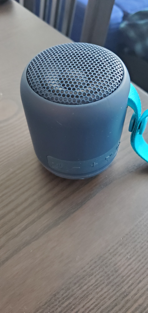 Sony Portable Bluetooth Speaker