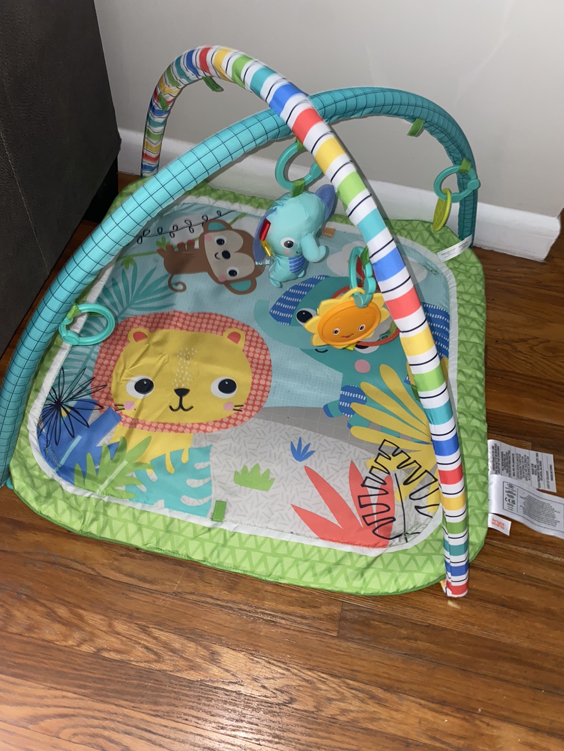 Baby Playmat with Arch #freecycle