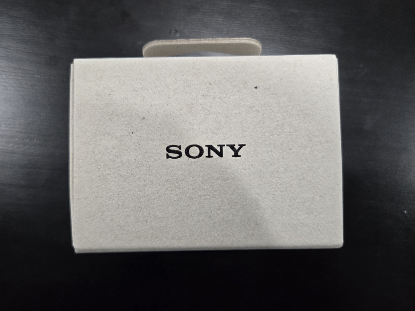 Sony's WF-C500 truly wireless earbuds - photo 4