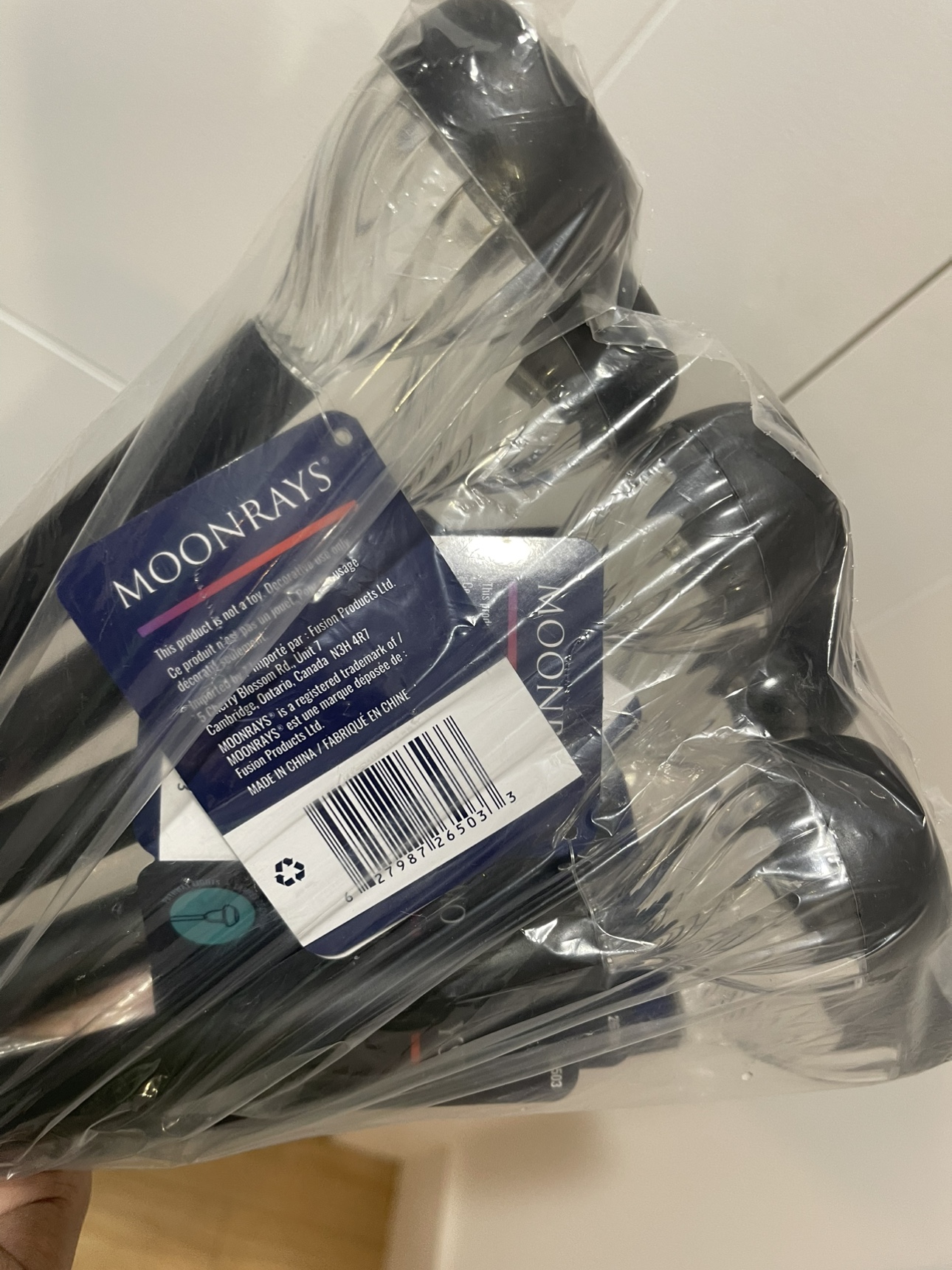 Moonrays Solar Pathway Lights