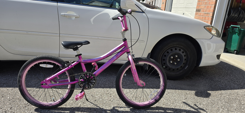 Fully functional 20 inch kids bike