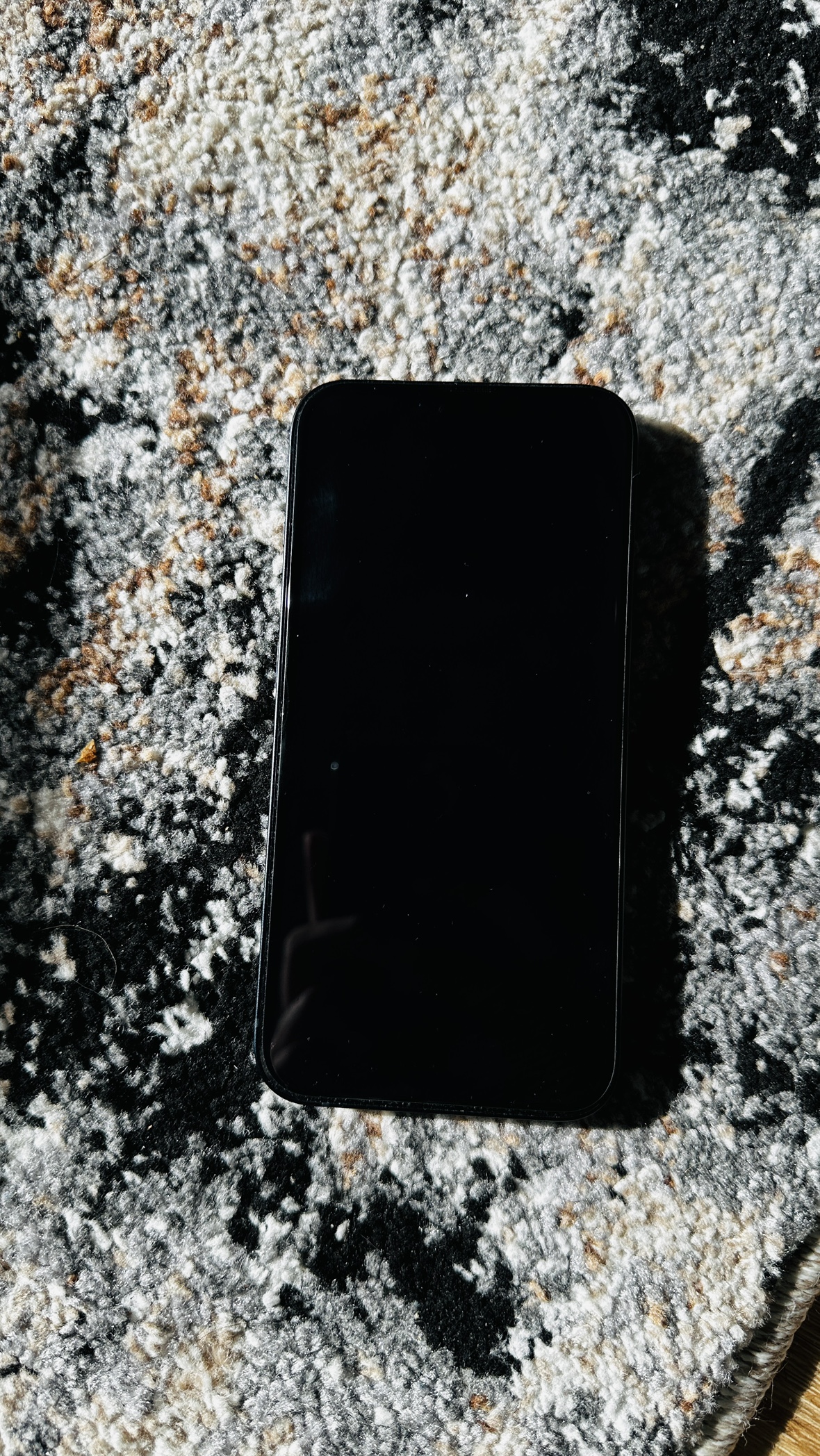 iPhone 13 - photo 4