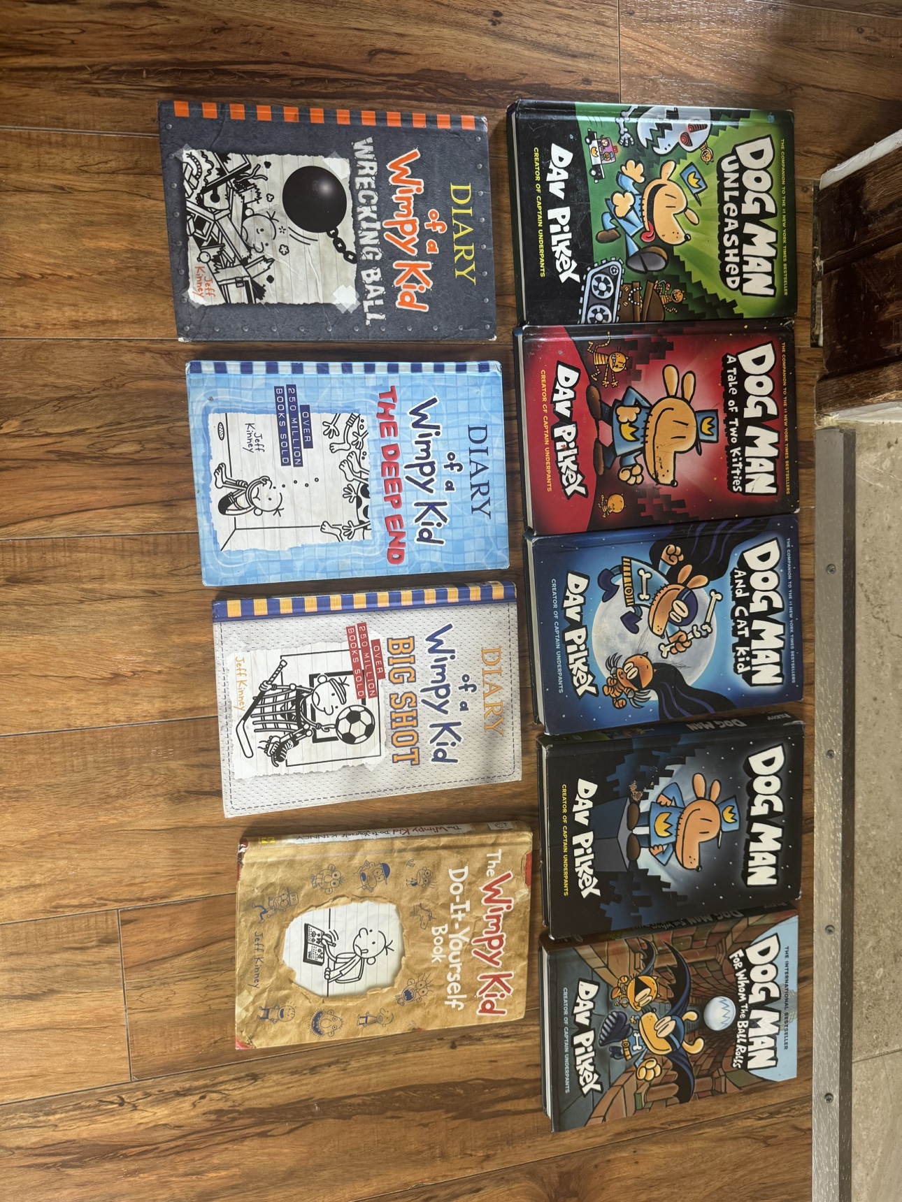 Diary of a Wimpy Kid and Dog Man Books