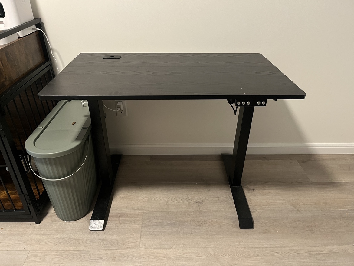 Black Electric Standing Desk