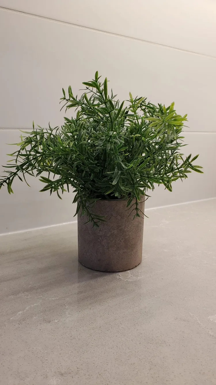 Fake plant thumbnail