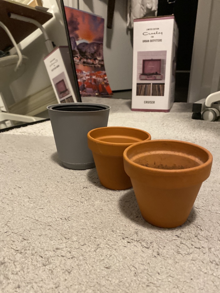 MOVING SALE 🧡 1 plastic pot, 2 Terracotta Pots