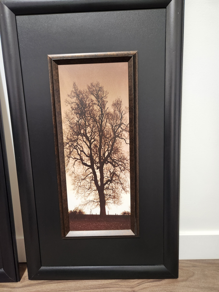 Framed Tree Pictures - photo 3