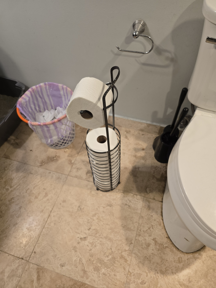Toilet Paper Holder - photo 3