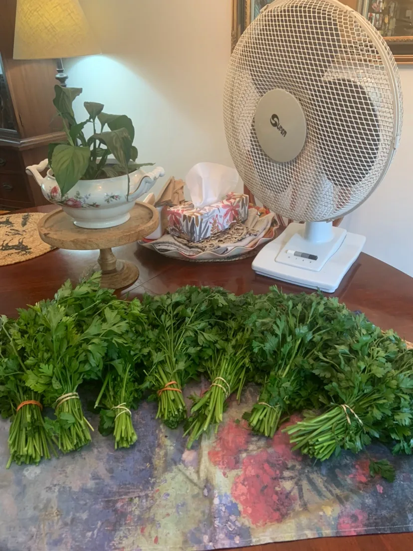 FREE FRESH GARDEN PARSLEY ! thumbnail