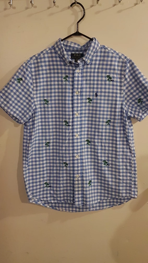 Polo Ralph Lauren Button Up Shirt
