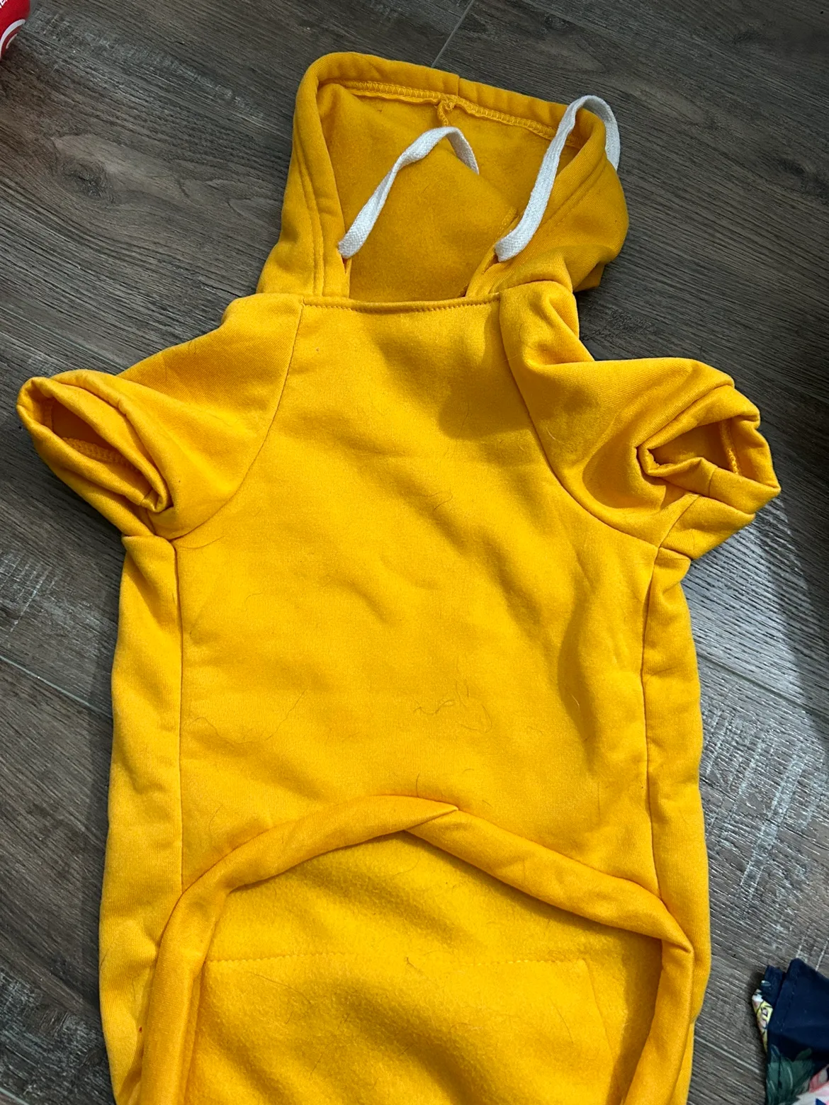 Yellow Dog Hoodie thumbnail