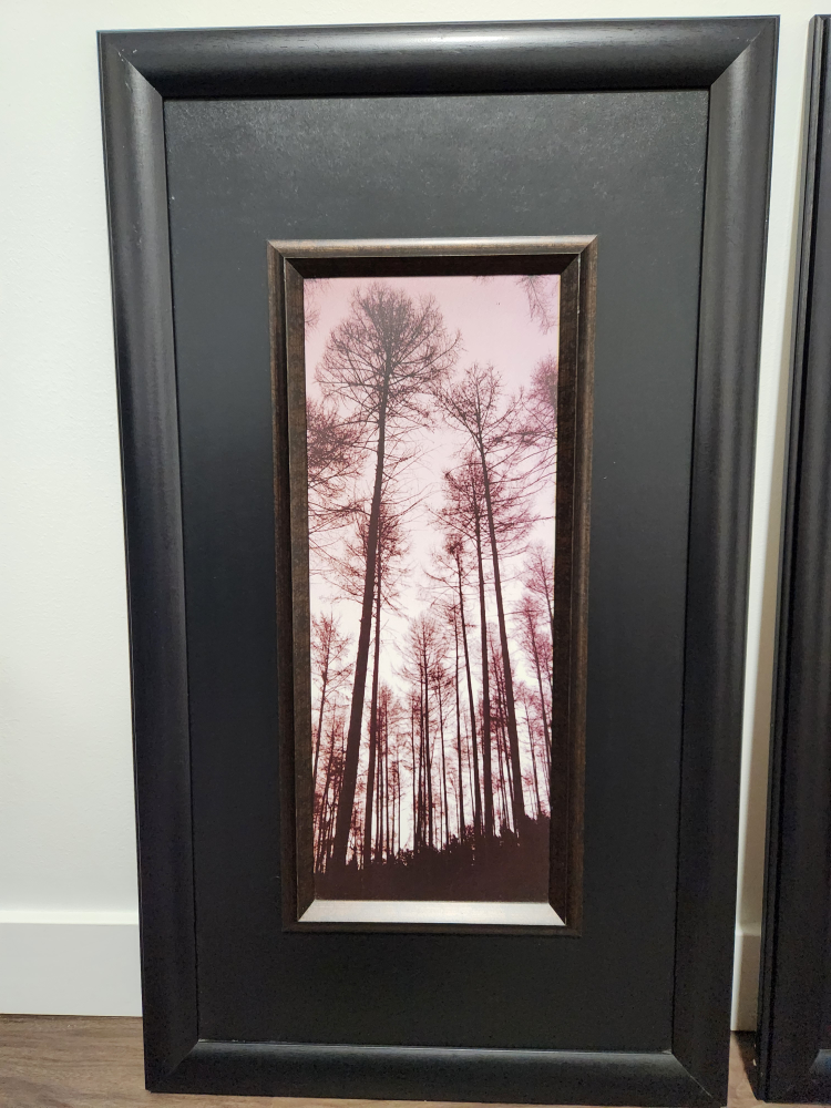 Framed Tree Pictures - photo 2