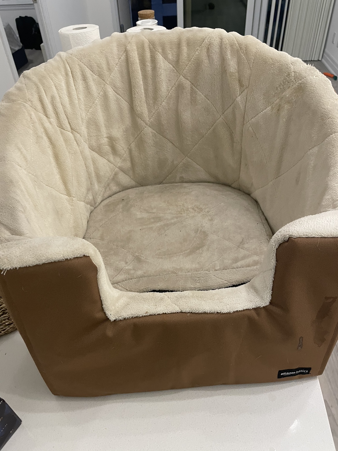 Dog car seat