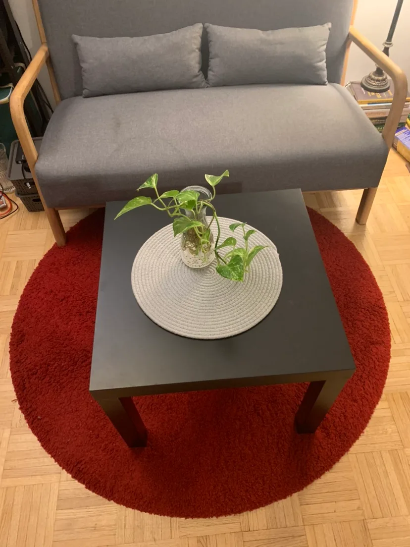 Moving Sale - Must Go!! IKEA ADUM Round Red Rug image indicator(4)