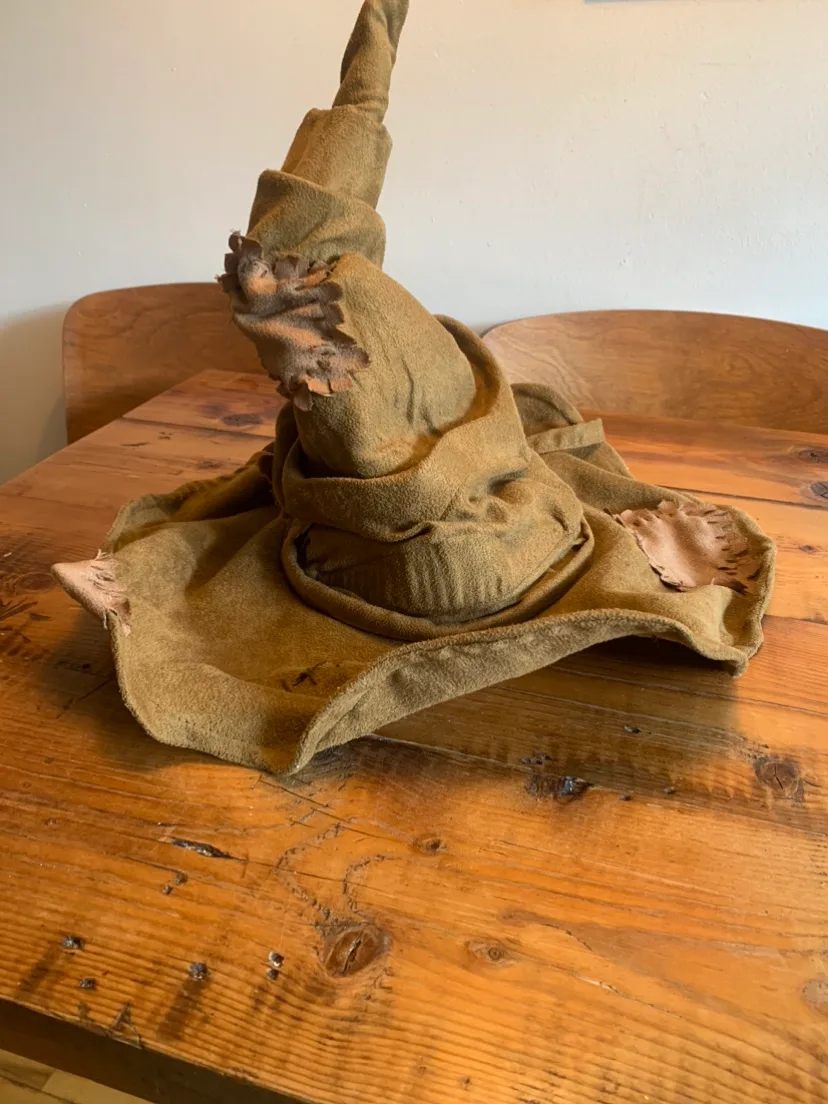 Harry Potter Costume Sorting Hat & Travel Journal image indicator(4)