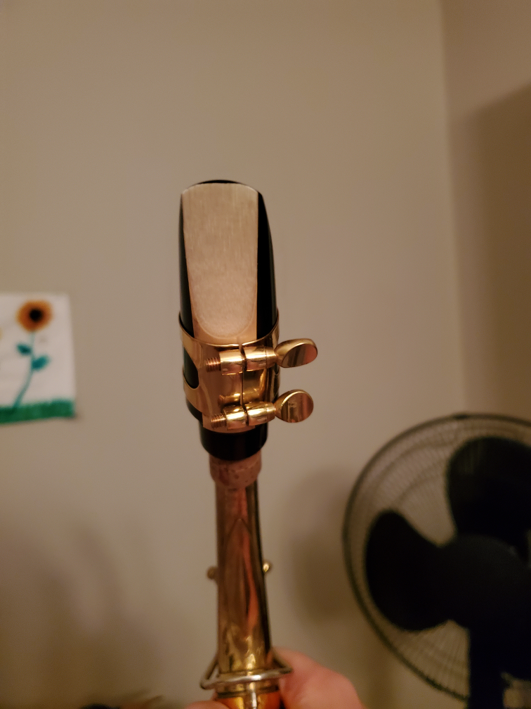 alto saxophone - photo 2