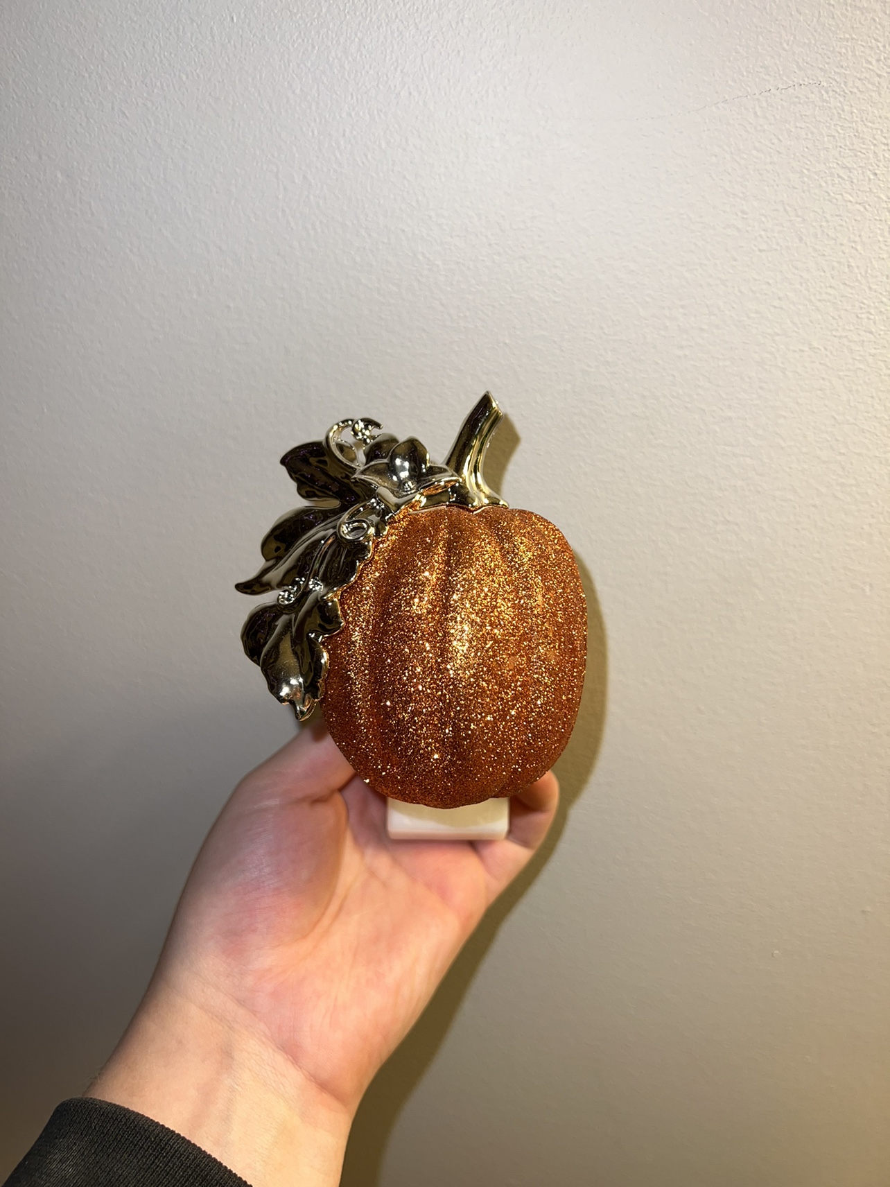 Bath & Body Works Pumpkin Wallflower Plug