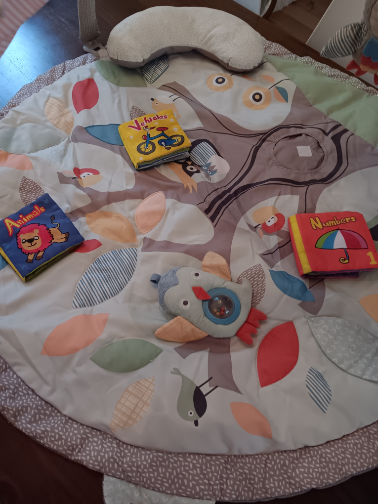 skiphop Play Mat - photo 3