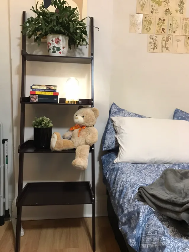 Ladder shelf thumbnail
