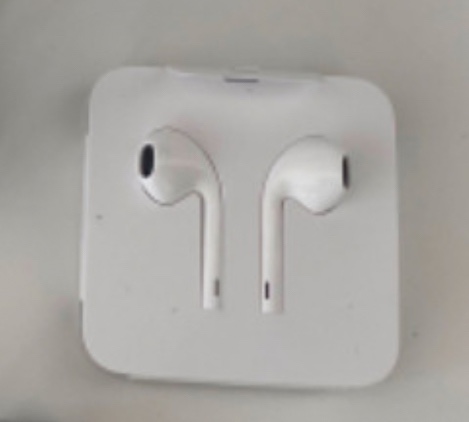 Wired Apple Earbuds with Lightning Connector