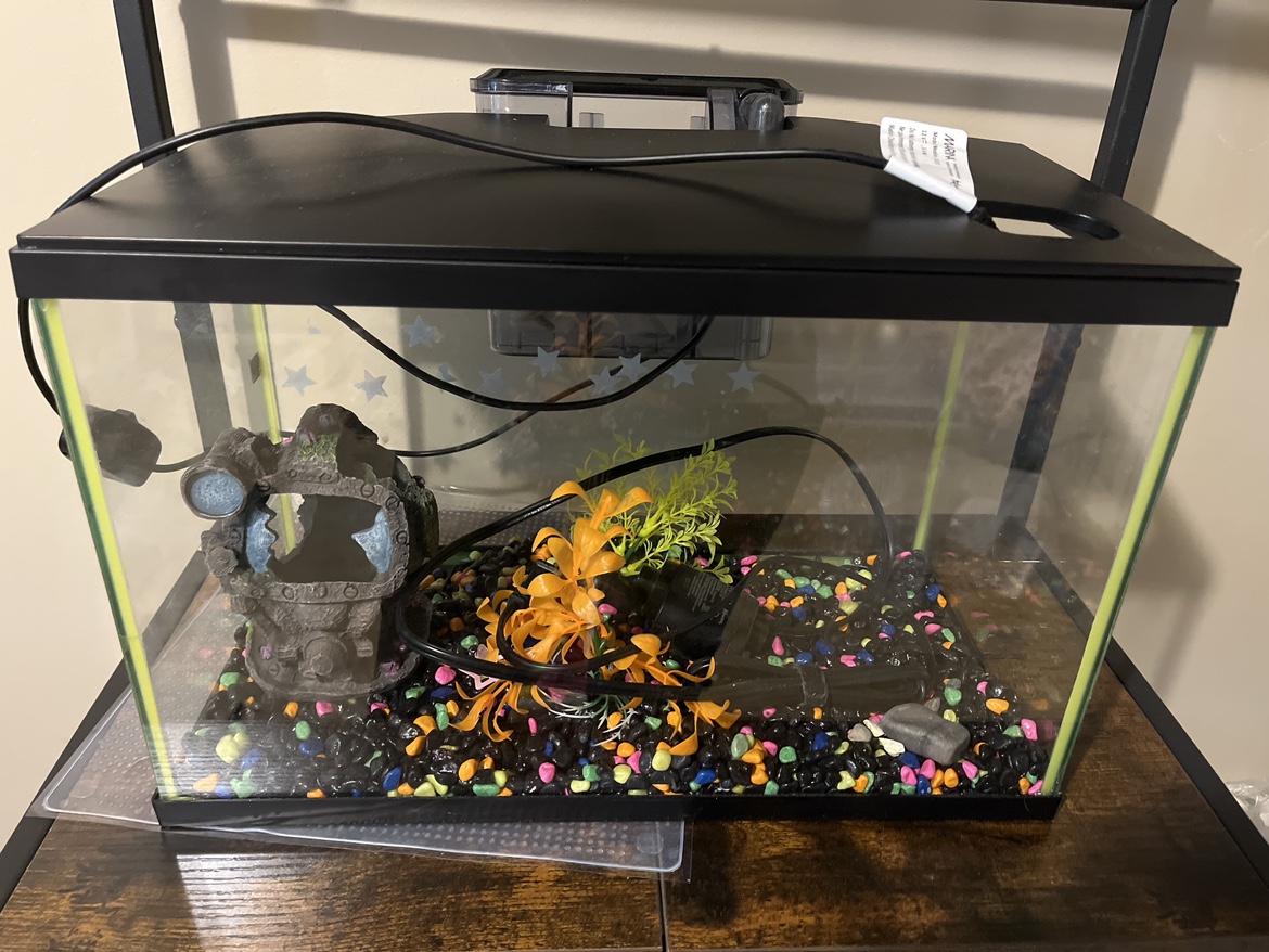 Fish Tank with Decorations and Filter