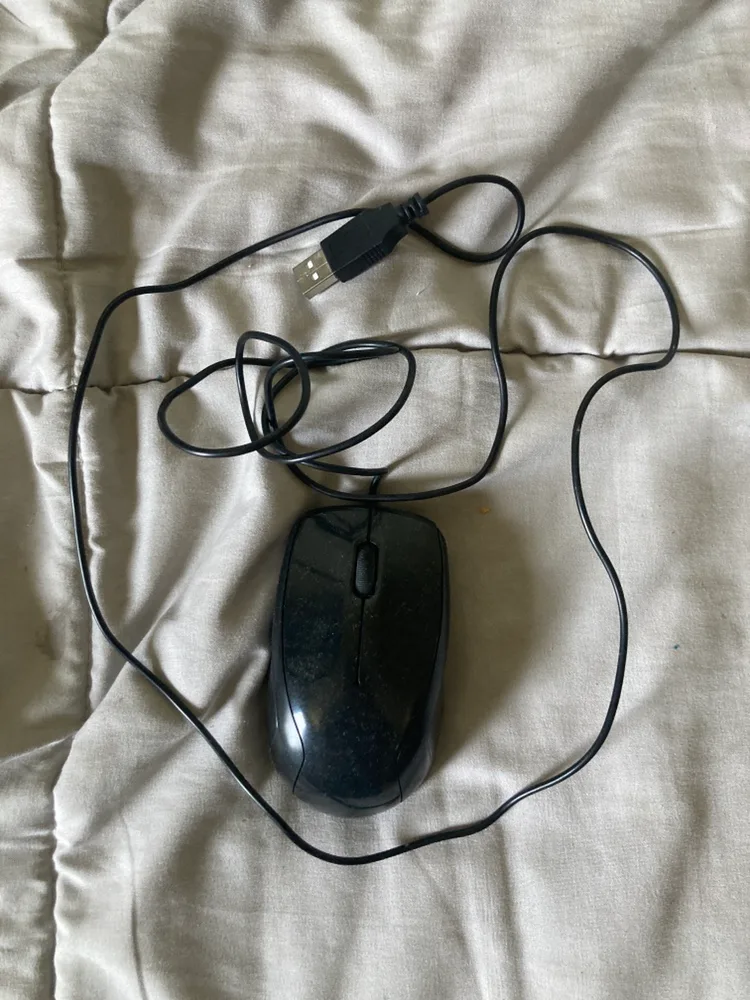 Wired USB Computer Mouse 🧡 thumbnail