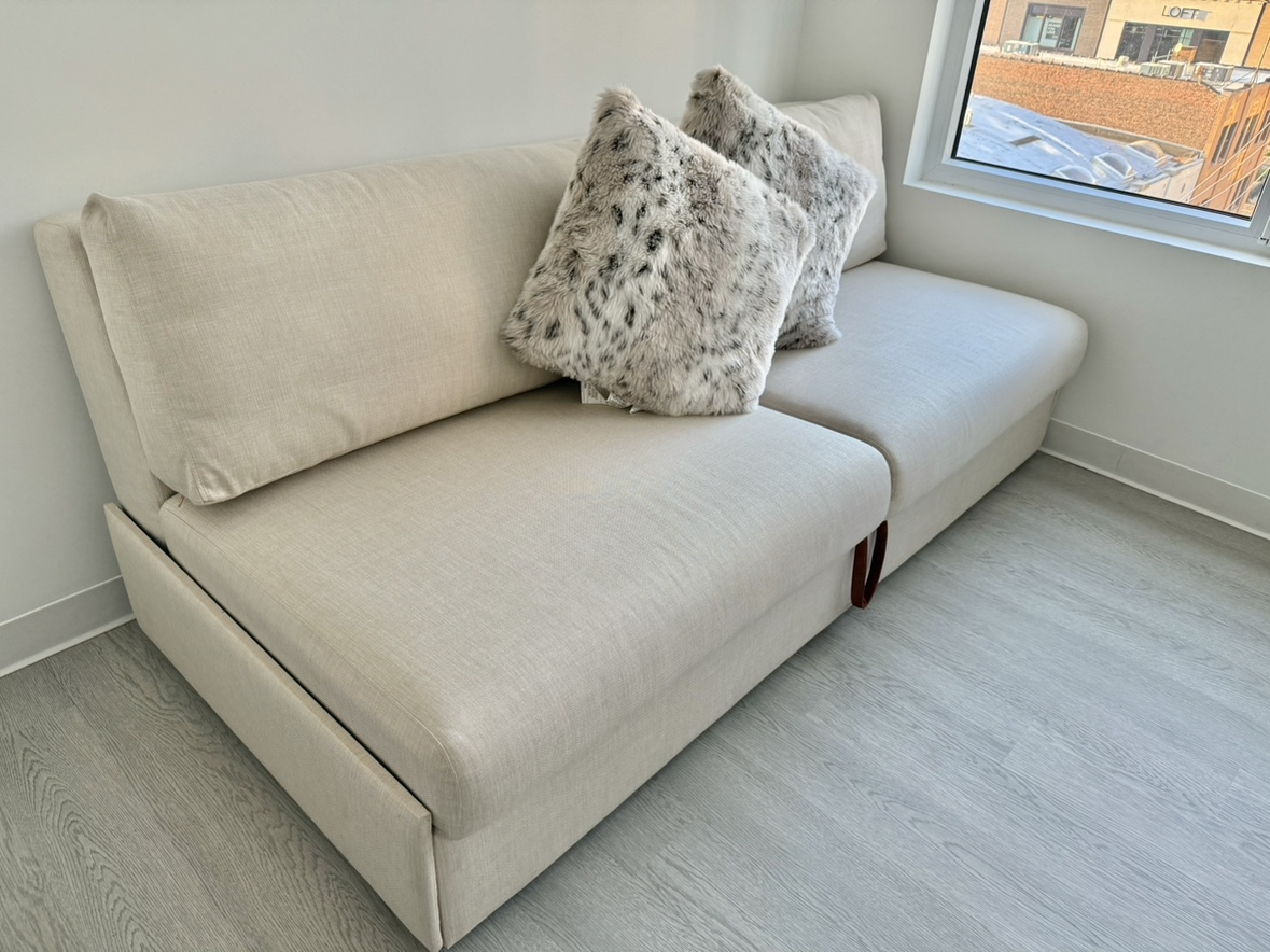 Sleeper Sofa coach/ Storage