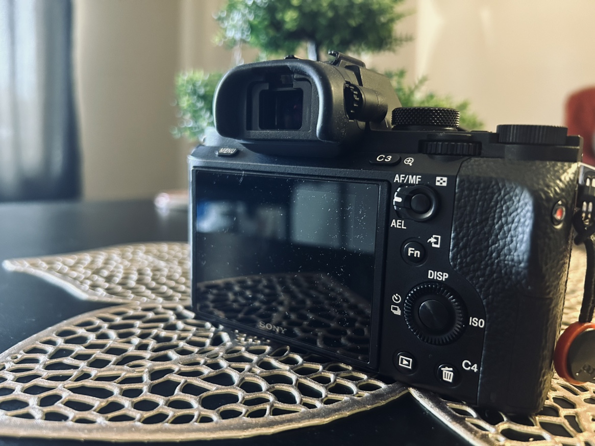 Sony mirrorless camera - photo 3