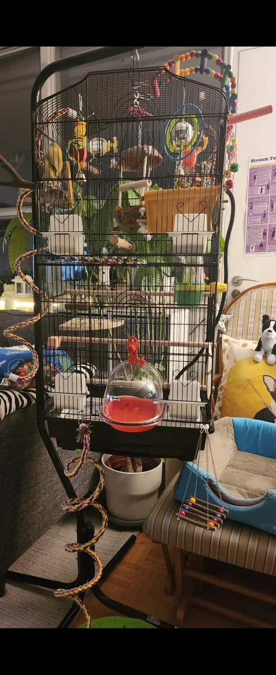 PREVUE Hanging Bird Cage Stand and Double Cage (Vertical) image indicator(3)