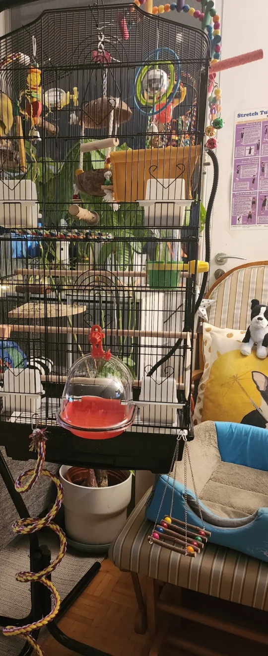 PREVUE Hanging Bird Cage Stand and Double Cage (Vertical) image indicator(4)